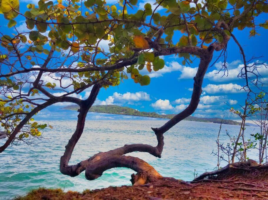Poetry Garden Bocas Town Colon Island Villa Exterior photo