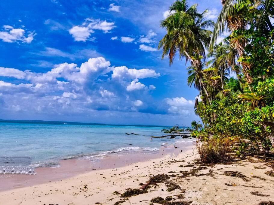 Poetry Garden Bocas Town Colon Island Villa Exterior photo