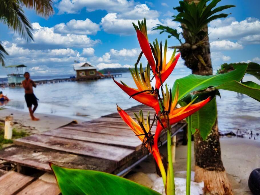 Poetry Garden Bocas Town Colon Island Villa Exterior photo